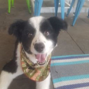 Meet your Posher, Isabella